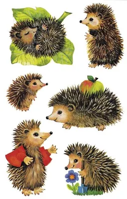 Produktbild von Avery Zweckform® 4306 Z-Design 4306, Kinder Sticker, Igel, 3 Bogen/18 Sticker