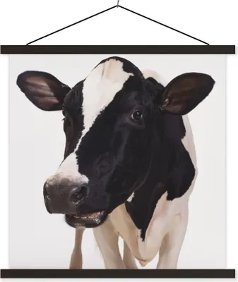 Produktbild von MuchoWow® Textilposter Kuh - Weiß - Tiere - Schwarz 120x120 cm mit schwarzem Rahmen - Aufhängungsset