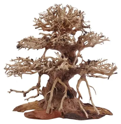Produktbild von Premium Bonsai Baum M 20x12x20 cm Wurzel Holz Aquarium Deko Aquascaping