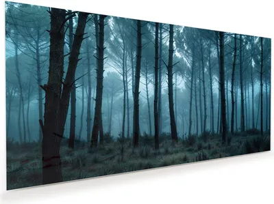 Produktbild von Glasbild 110x55cm in XXL für Wohnzimmer, Schlafzimmer Motiv Nebeliger Wald