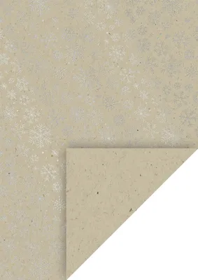 Image de HEYDA Carton naturel A4 220g Crystal si