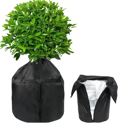 Produktbild von 45 x 50 cm Winterabdeckung für Freilandpflanzen für Garten, Terrasse und Außenbereich