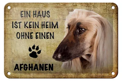 Produktbild von Blechschild Spruch 18x12cm Afghanen Hund ohne kein Heim