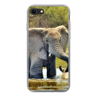 Produktbild von MuchoWow® Handyhülle Schutzhülle Hülle für iPhone SE 2022 Elefant - Wasser - Tiere - Natur Silikon Softcase Handy Hülle - Schutzhülle
