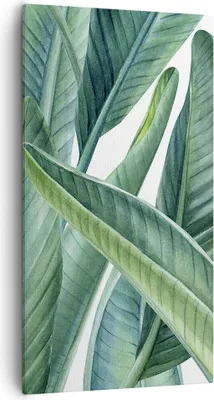 Produktbild von Bild auf Leinwand - Leinwandbild - Einteilig - Exotisch Blätter Grün - 55x100cm - Wand Bild - Wanddeko - Wandbilder - Leinwanddruck - Bilder - Wanddekoration - Leinwand bilder - PA55x100-4258
