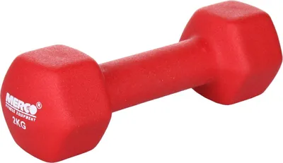 Produktbild von Neopren Kurzhantel 2 kg, einhändig, rutschfeste Oberfläche für Fitnessübungen