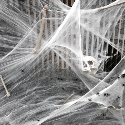 Produktbild von Spinnenwebdekoration für Halloween-Feier - Weiß, 300 g
