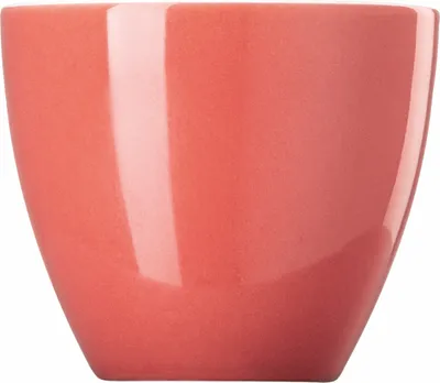 Imagen del producto de Thomas Eierbecher Sunny Day Soft Red Porzellan Rot  10850-408601-15520