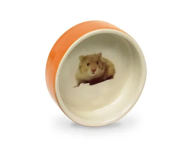 Produktbild von Nobby Hamster-Keramikschale : Orange Ø7,5 x 2,5cm Farbe: Orange Größe: Ø7,5 x 2,5cm