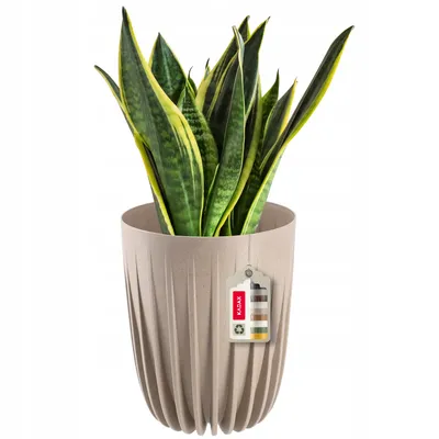 Produktbild von KADAX Blumentopf aus Kunststoff "Costa", mit Naturmaterialien, Pflanztöpfe, mit Einsatz, 30 cm, Beige