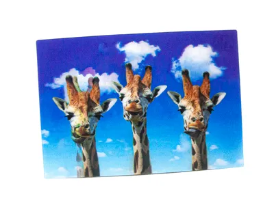 Produktbild von 3 D Ansichtskarte Giraffen, Postkarte Wackelkarte Hologrammkarte Tiere Tier Giraffe