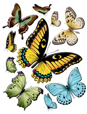 Produktbild von AG Design Wandstickers Schmetterlinge, 65 x 85 cm