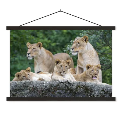 Produktbild von MuchoWow® Textilposter Löwen - Tiere - Jungtiere 120x80 cm mit schwarzem Rahmen - Wanddeko