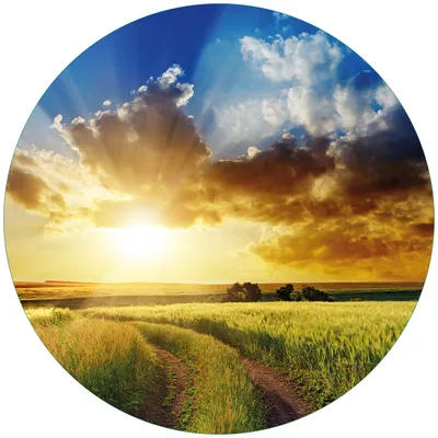 Produktbild von Wallario Premium Glasbild, freischwebende Optik, kräftige Farben, rund 50cm Durchmesser, Motiv Feldweg in den Sonnenuntergang