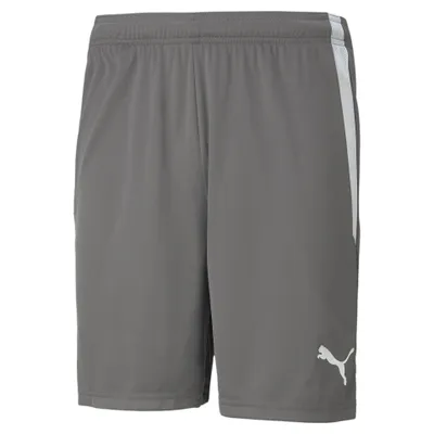 Immagine prodotto di Pantaloni Puma Teamliga 70492413
