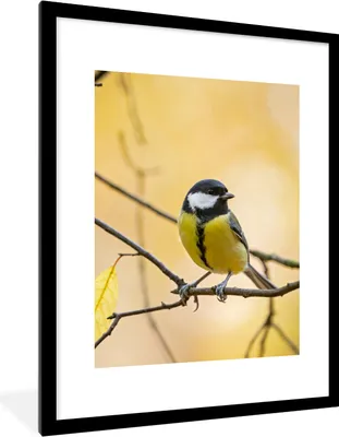 Produktbild von MuchoWow® Gerahmtes Poster Kohlmeise - Zweig - Vogel - Tiere 60x80 cm - Poster mit Schwarzem Bilderrahmen Wandposter Rahmen Foto Bilder - Wohnzimmer - Dekorationen - Prämie