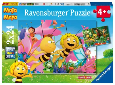 Obrázek produktu pro Ravensburger 09093, 24 kusů, Kreslené filmy, 4 rok/roky
