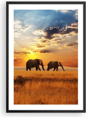 Produktbild von Gerahmtes Poster - Schwarzer Rahmen - Elefanten Safari Dschungel Busch - 50x70 cm - Wand Bild - Wanddeko - Wandbilder - Wandposter - Bilderrahmen - Bilder - Kunstdruck - Wandbild - P2BPA50x70-3150