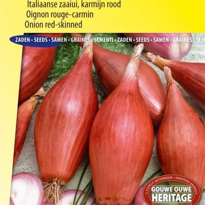Produktbild von Rossa Lunga di Firenze Italienisches Zwiebelsamen-Stück – Anbau authentischer purpurroter Zwiebeln – hochwertige Samen für eine leckere Ernte