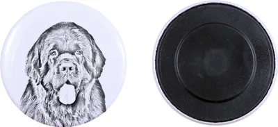 Produktbild von Neufundländer, Newfoundland Magnet mit einem Hundepfotenabdruck, außergewöhnlich leicht, starker Magnet, handgefertigtes Produkt der Marke Art-Dog