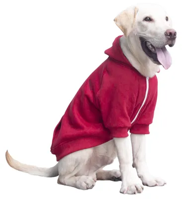 Produktbild von Hundemantel mit Kapuze für große Hunde, rot, Größe 3XL