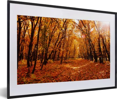 Produktbild von MuchoWow® Gerahmtes Poster Herbst - Wald - Laub - Jahreszeiten 60x40 cm - Poster mit Schwarzem Bilderrahmen Wandposter Rahmen Foto Bilder - Schlafzimmer - Plakat in Rahmen - Drucken
