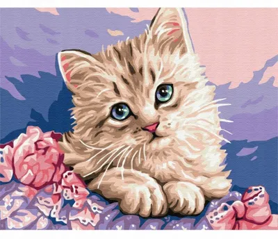 Produktbild von "Malen nach Zahlen: Katze auf Kissen, 50x40 cm, mit Rahmen, kreatives Motiv."