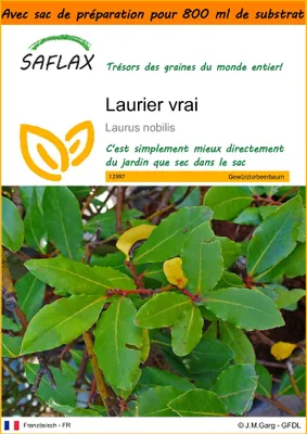 Image de SAFLAX Garden in the bag - Laurier vrai - 6 graines - Laurus