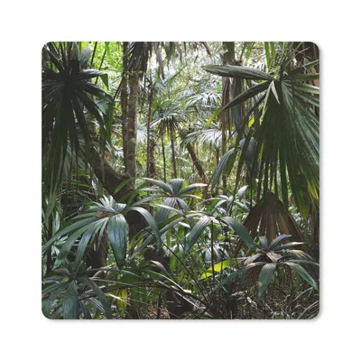 Produktbild von MuchoWow® Mauspad Mousepad Pflanzen im Regenwald 20x20 cm - Mousepads - Maus Mat - Pad - Mausunterlage - Desk Mat - Bureauartikeln