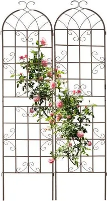 Image de Treillis 220 cm lot de 2 marron