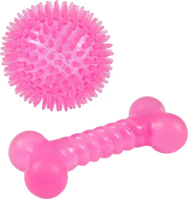 Image de Set de 2 jouets balle et os rose 13 x 8 cm pour chien