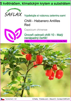 Obrázek produktu pro SAFLAX Garden to go - Chilli - Habanero Antilles Red - Capsicum chinense - 10 Semena - S květináčem, klimatickou poklicí a pěstebním substrátem