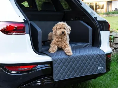 Produktbild von Hundebox Auto Kofferraumschutz Hund mit ladekantenschutz Kofferraum?Mit Tasche? Kofferraum schutzmatte herausnehmbar - Hunde Autositz Wasserabweisend, hundetransportbox 100x70x38cm Grau
