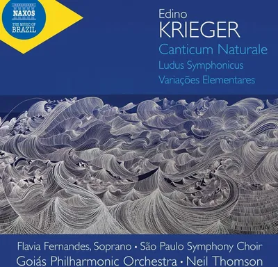 Productafbeelding van Fernandes/Thomson/Het Sao Paulo Symfoniekoor: Canticum Natural