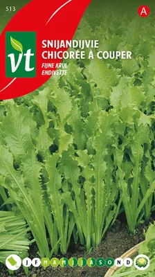 Obrázok produktu pre Semená endívie rezanej jemne kučeravej - cca 3 gr | VT_513