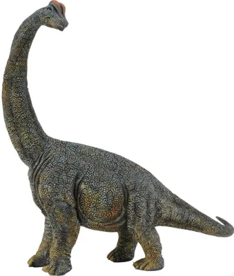 Obrázek produktu pro COLLECTA Brachiosaurus - 1:40