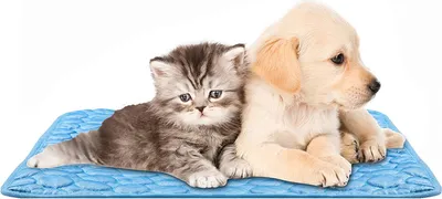 Produktbild von Kühlmatte für Hunde, Kühlhundematte Breathable, Selbstkühlend, Kein Wasser oder Kühlschrank Erforderlich, Kratzfest rutschfeste Kühlmatte für kleine Mittelgro?e Hunde oder Katzen