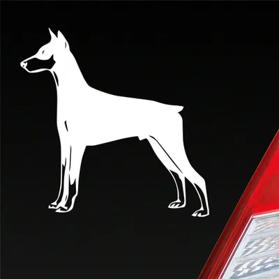 Produktbild von Auto Aufkleber Dobermann Hund Dog Animal Tier 10x10 cm Weiss Glanz Sticker Heckscheibenaufkleber