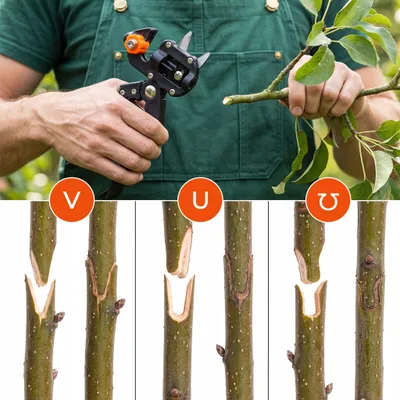Produktbild von Gartenschere Zum Veredelen Von Weinstocken, Zum Veredelen Von Ästen Von Bäumen Und Sträuchern