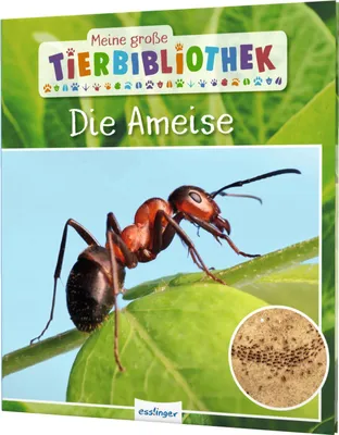 Produktbild von Meine große Tierbibliothek: Die Ameise