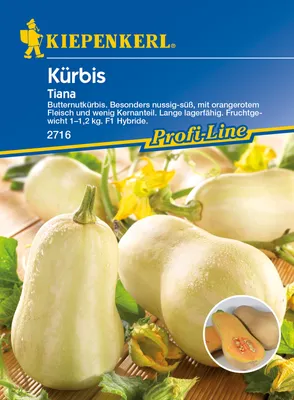 Produktbild von Kürbis Tiana F1 | Kürbissamen von Kiepenkerl [MHD 01/2024]