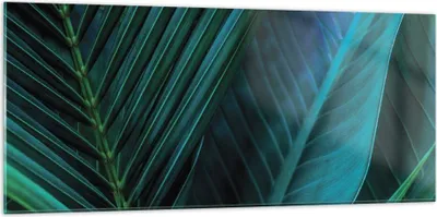 Produktbild von Bilder auf glas - Einteilig - Blatt Tropen Grün - 120x50cm - Glasbilder - Wandbilder - Bilder - zum Aufhängen bereit - Wanddekoration aus Glas - Glas Bilder - Wandbild auf Glas - GAB120x50-5071