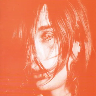 Immagine prodotto di CD: DEERHUNTER-Microcastle