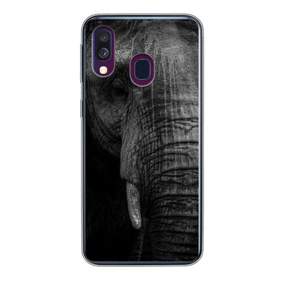 Produktbild von MuchoWow® Handyhülle Schutzhülle Hülle für Samsung Galaxy A40 Elefant - Tier - Porträt Silikon Softcase Handy Hülle - Handy-Tasche