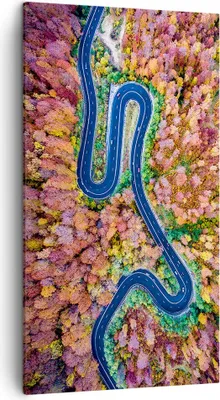 Produktbild von Bild auf Leinwand - Leinwandbild - Einteilig - Kurvenreich Weg Wald - 45x80cm - Wand Bild - Wanddeko - Wandbilder - Leinwanddruck - Bilder - Wanddekoration - Leinwand bilder - Wandbild - PA45x80-4291