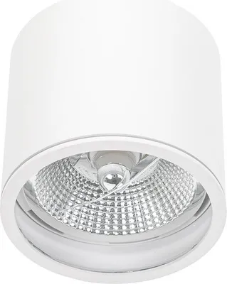 Image de Luminaire apparent Plafonnier Chloe AR111 rond Blanc IP65 GU10 sans ampoule