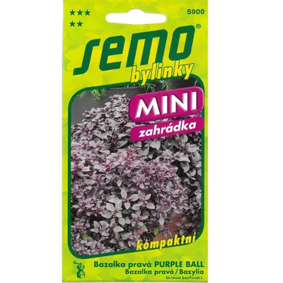Zdjęcie produktu dla Bazylia pospolita fioletowa PURPLE BALL
