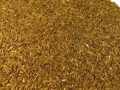 Produktbild von Kreuzkümmel ganz Naturideen® 100g
