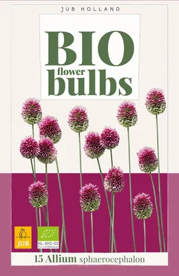 Produktbild von Allium sphaerocephalon -Blumenzwiebel JUB 15 Stück