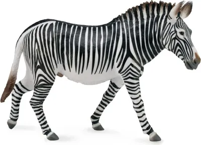 Produktbild von Zebra Grevy's